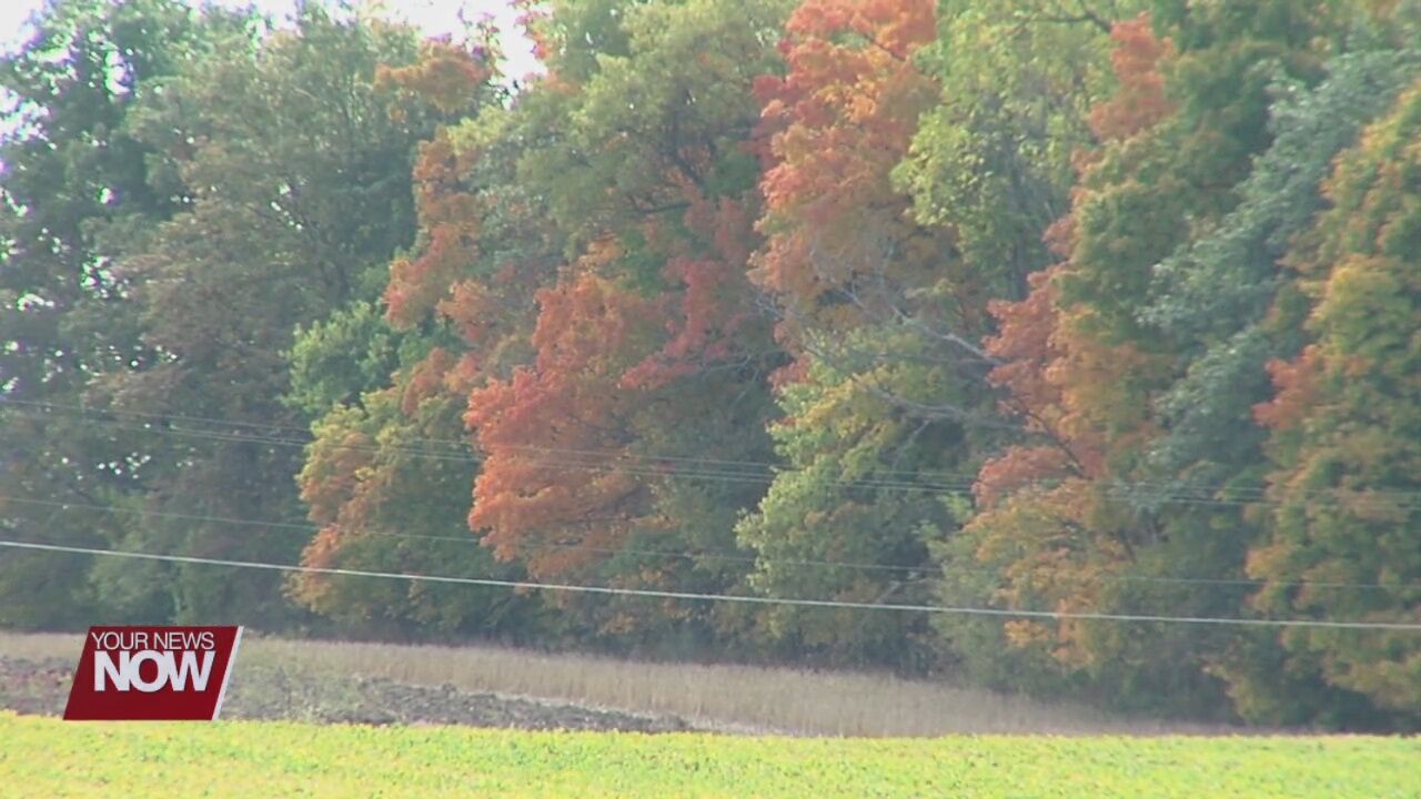 Weather plays a role in colorful leaves in the fall
